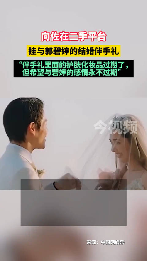 继向佐把向太送的包卖了之后…