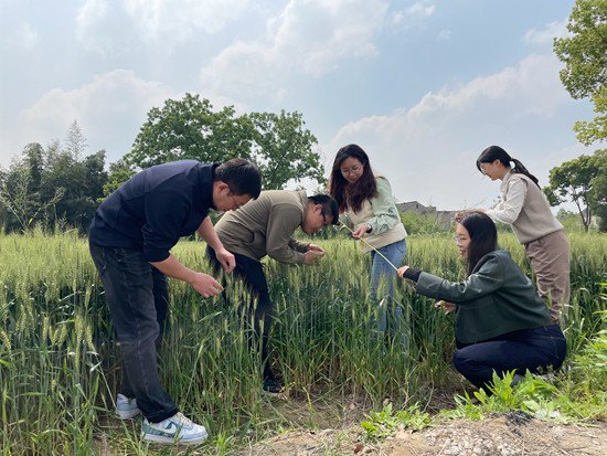     2023年8月11日，年青人在蒲市村高標準農田旁觀察稻子生長情況。張之恒/攝