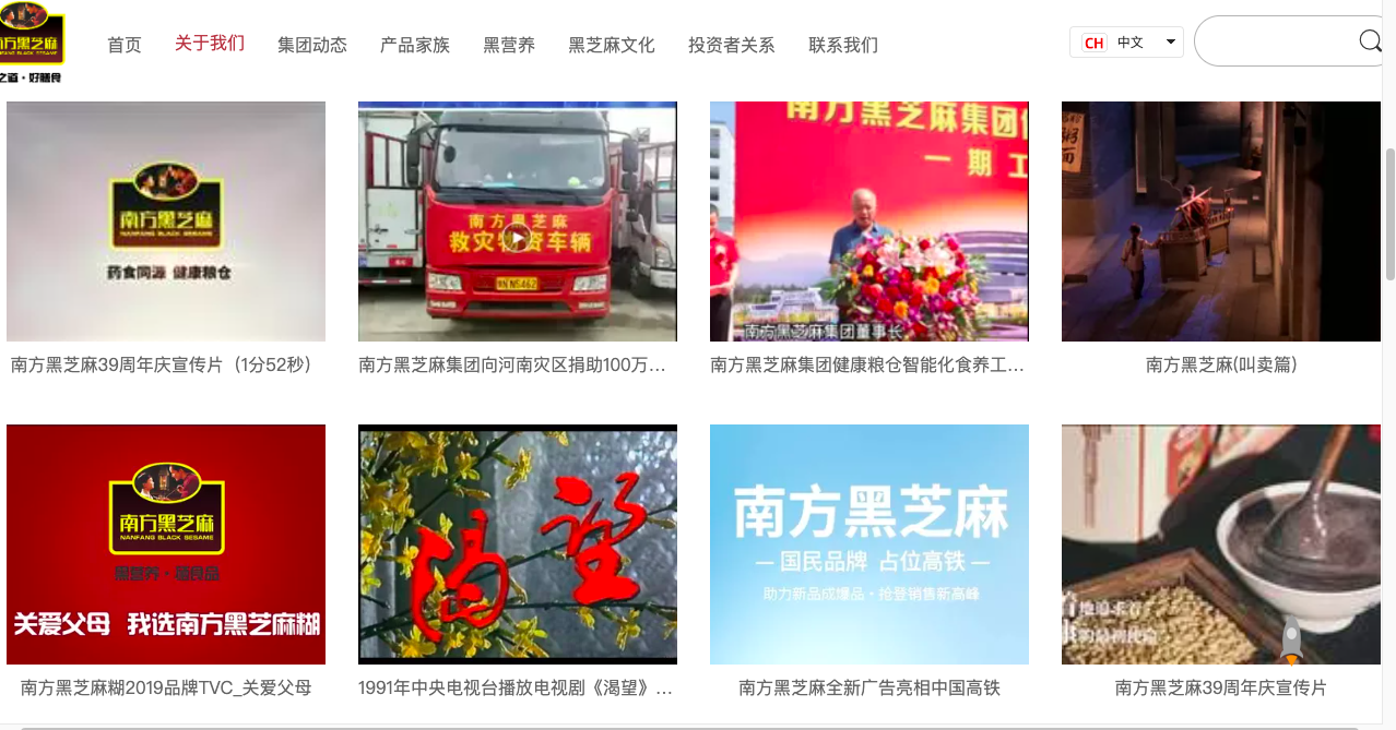黑芝麻官网品牌文化介绍页截图