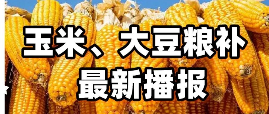 2024年大豆生产者补贴、上秋粮价2个重要消息！