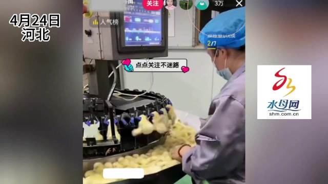 小鸡打针流水线上万人在线观看