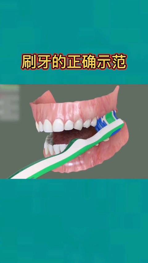 不管是早上刷牙还是晚上刷牙，你刷牙正确吗？若不知道该如何刷牙，码下看看