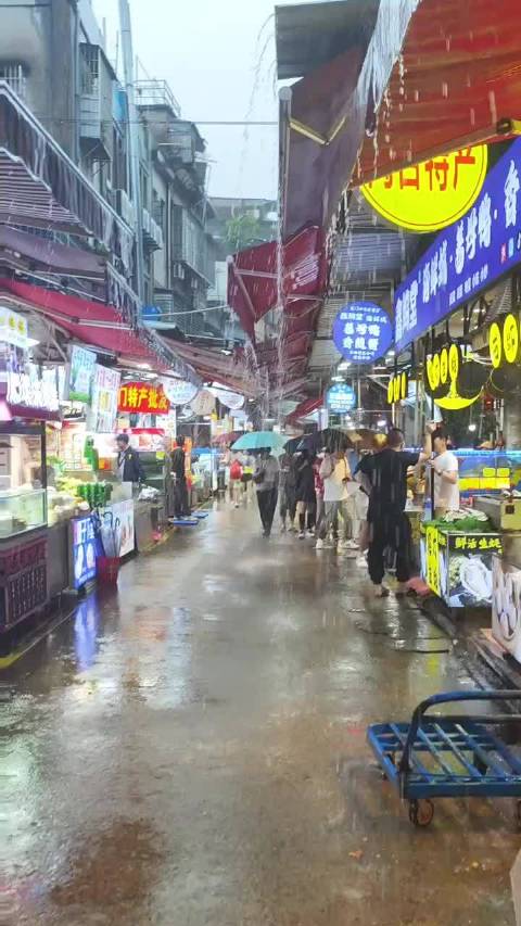 厦门未来七日仍有暴雨侵袭