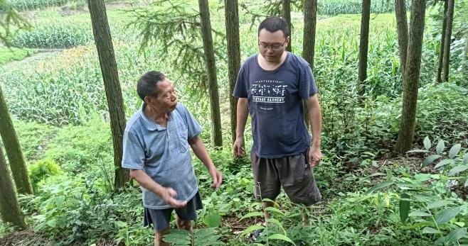 驻村“丰”景丨低头脚步坚实 抬头远方清晰