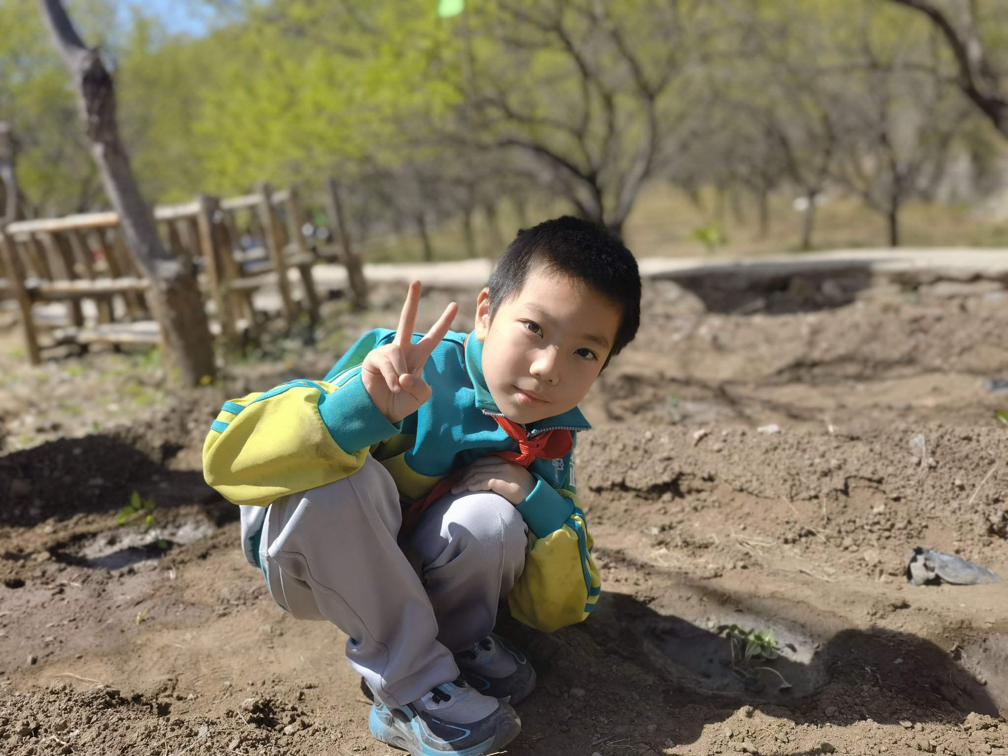 8歲的趙堉暄照看自己栽種的蔬菜苗。新京報記者 周懷宗 攝