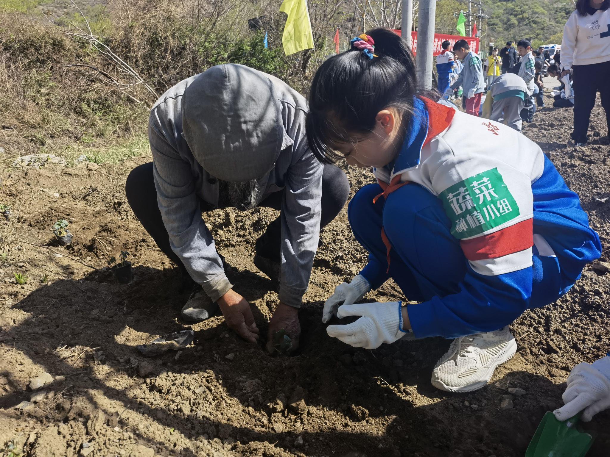 學生戴著蔬菜種植小組的臂章在田里勞作。新京報記者 周懷宗 攝