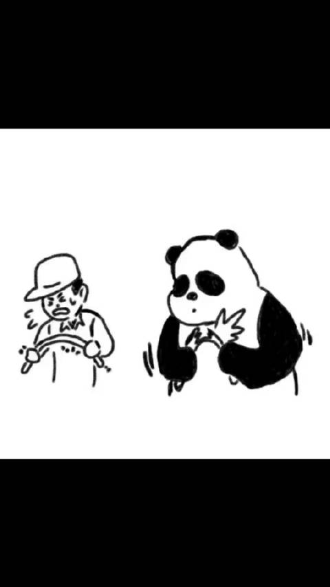 当一只熊猫向人类学习如何掰竹子