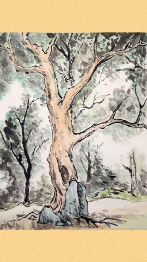 “画”说“绘”道识杭州·风景篇：香樟树