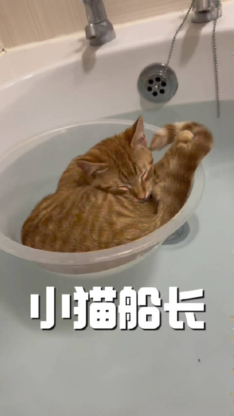 小猫船长和她的船