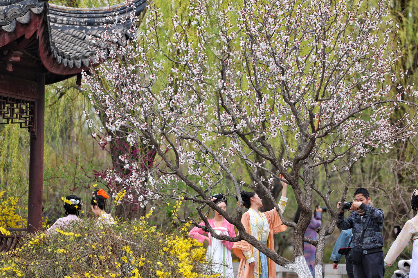 4月1日，北京園博園，市民著各色衣服在花叢中打卡拍照。  新京報記者 陶冉 攝