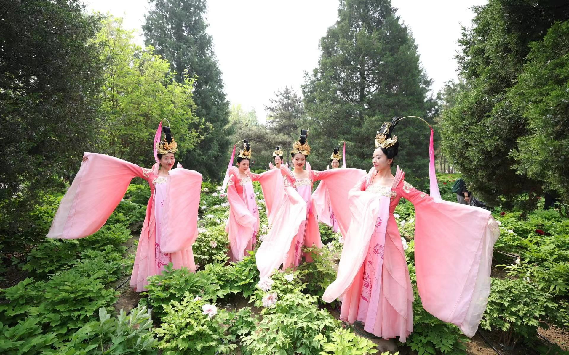 首屆天姿牡丹節活動期間，太陽宮公園內有精彩的漢服表演。新京報記者 王飛 攝