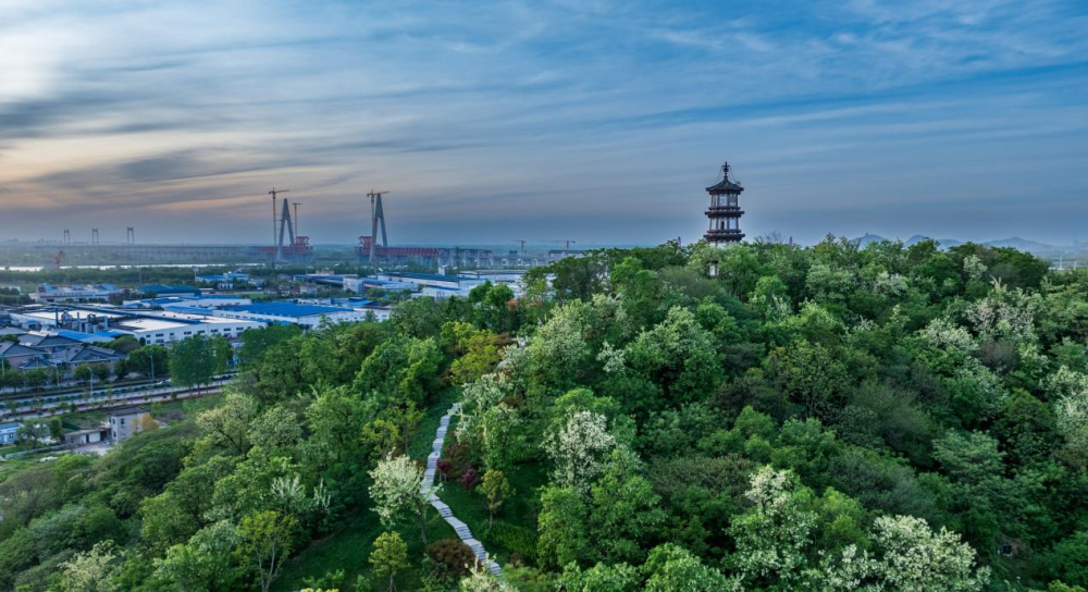 行业动态分析：2025年当涂大青山徒步线路全攻略及避坑指南