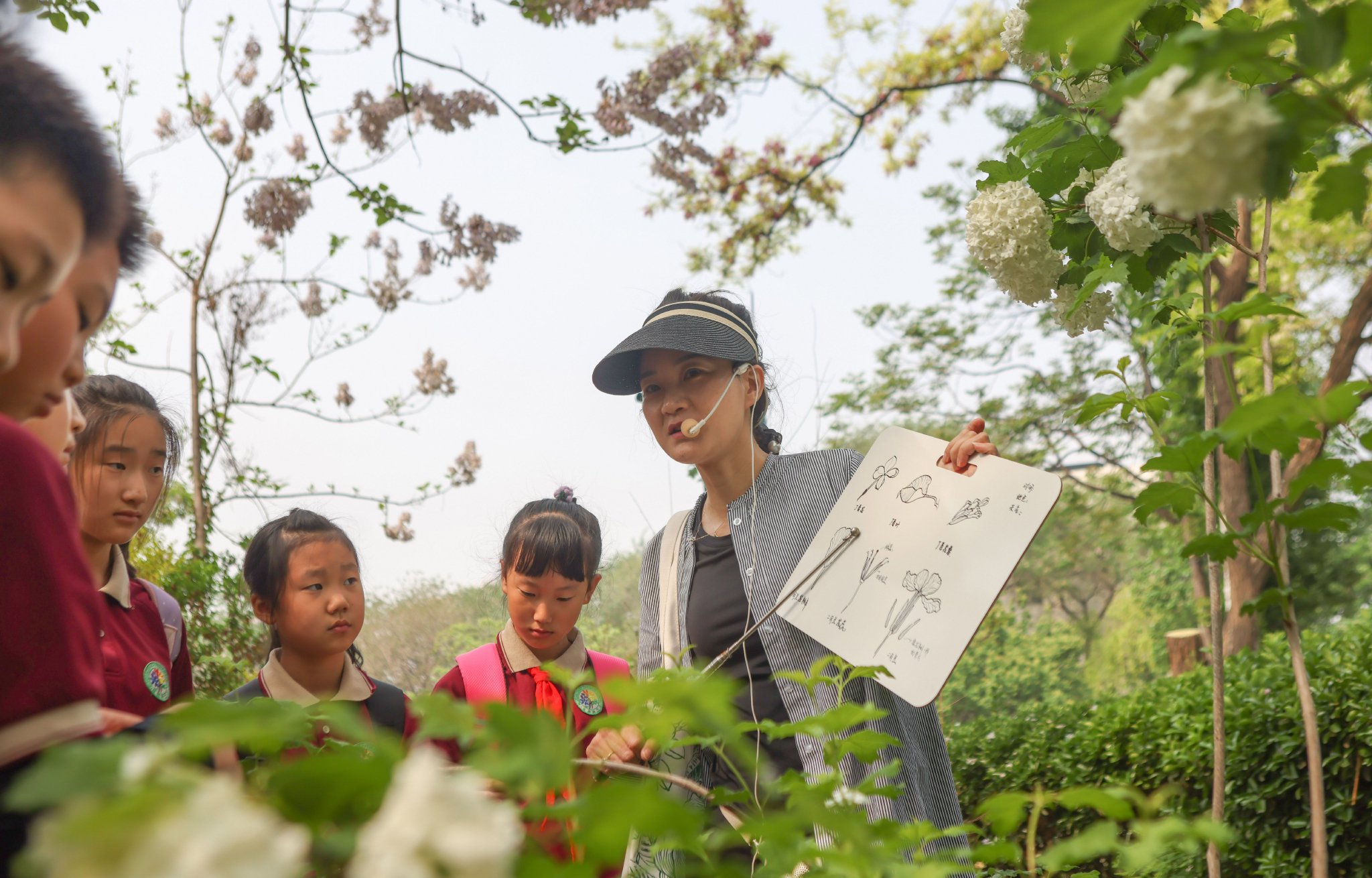 學生們在一株木本繡球前聽老師講解植物的花序。新京報記者 李木易 攝