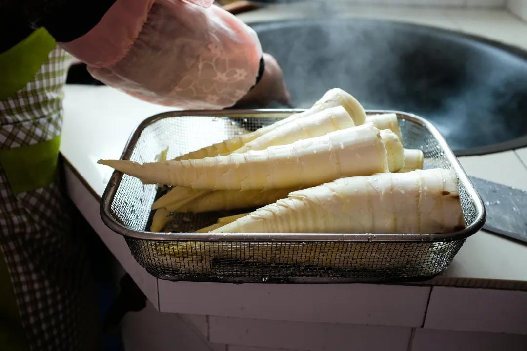 笋是寒性食材吗 dda8-a84d248cd8f2bc93e2f474da227d6f76.jpg