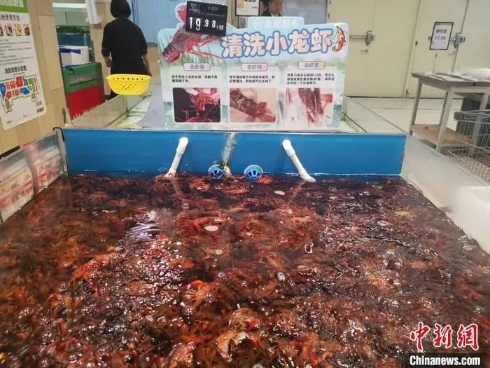 某超市里售卖的鲜活小龙虾。中新网记者 谢艺观 摄