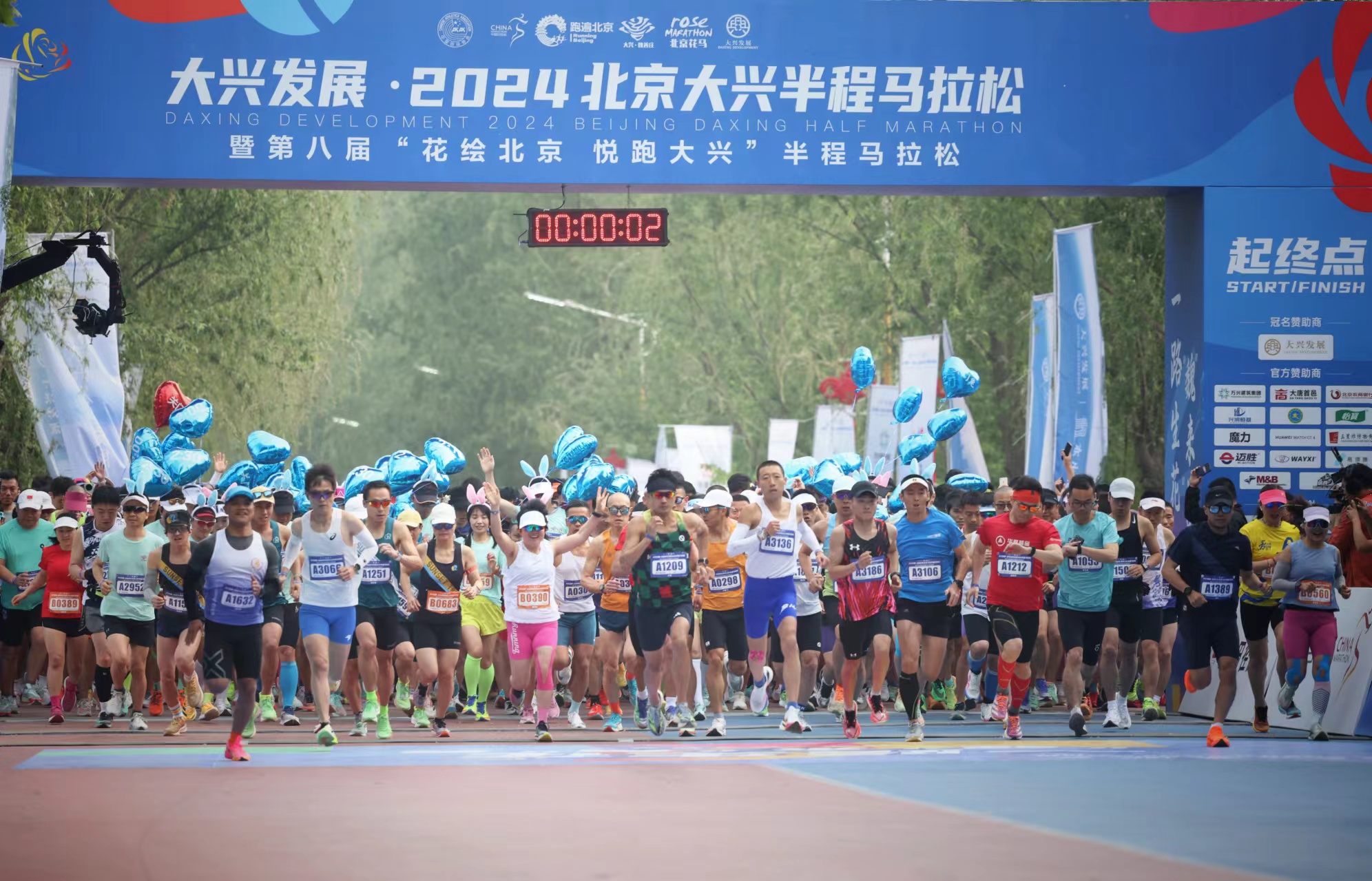 北京「花馬」今日開賽 6000人花海中開跑。新京報記者 李木易 攝