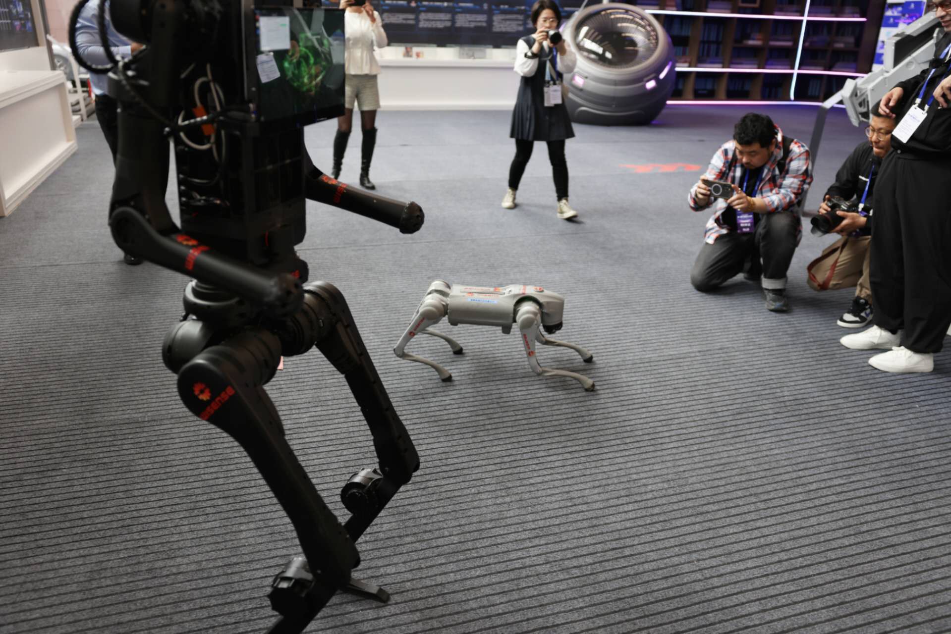 中關村科幻產業創新中心，工作人員在展示機器人和機器狗。新京報記者 浦峰 攝