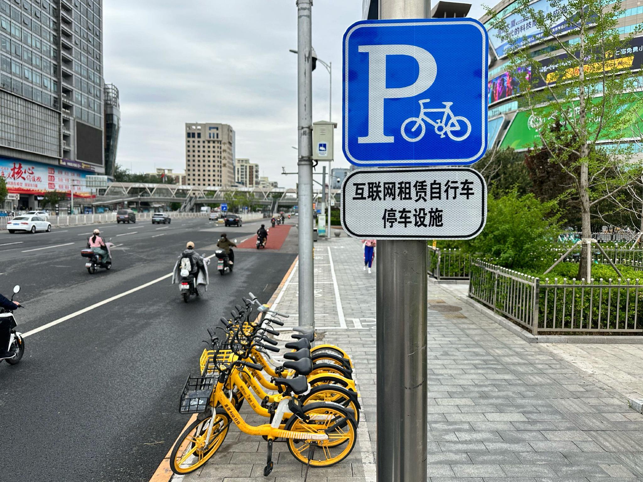 增設的共享單車停放區及相關標識。新京報記者 裴劍飛 攝
