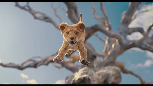 《狮子王：木法沙》先导预告曝光 12月20日北美正式回归
