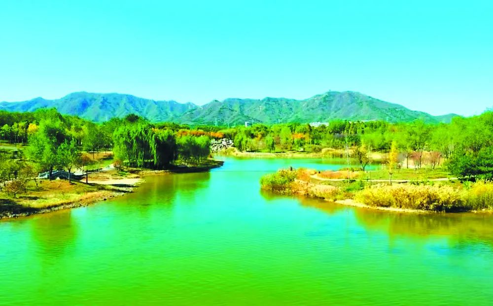 龙泉湖湿地
