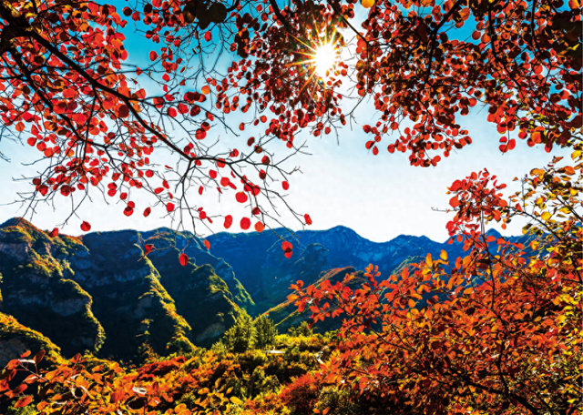 坡峰岭景点 8454-546bb34b3dbd645bd57d04801e870354.png