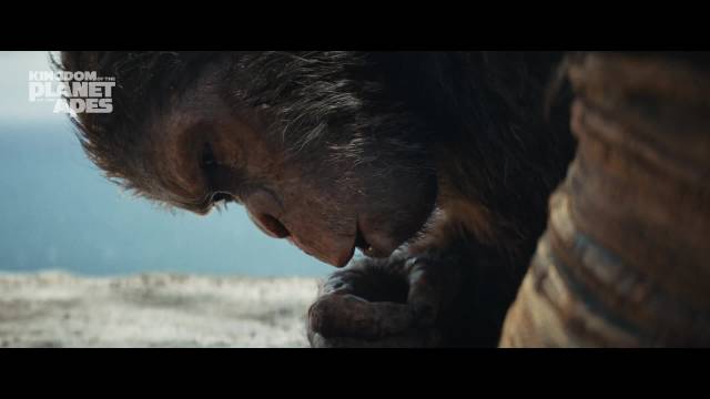 《猩球崛起4：新世界》终极预告 5月10日正式公映