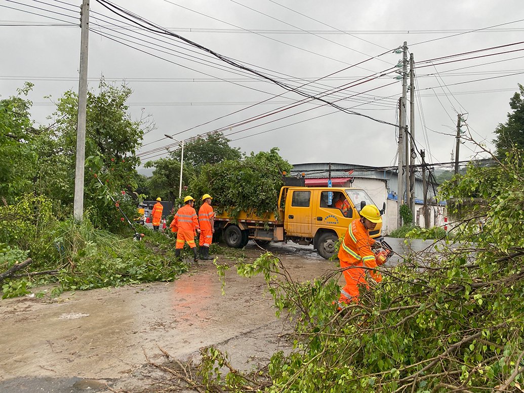 4月28日，金盆村的施工人員正在清理路上倒伏的樹木，本文照片均為 澎湃新聞記者 陳燦傑 圖