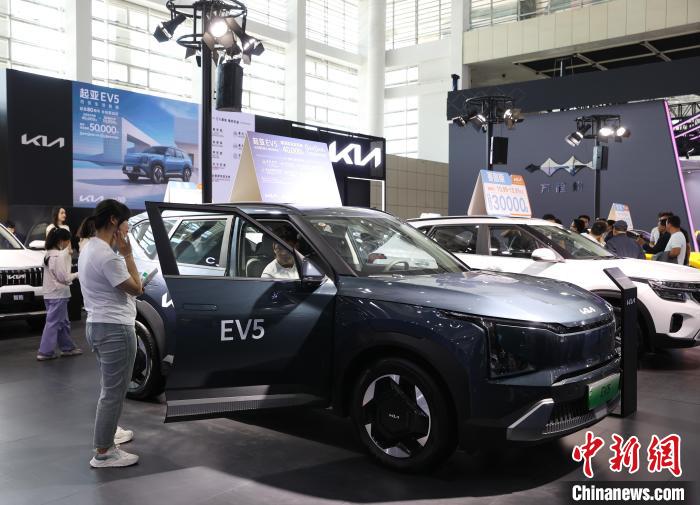 宁夏国际车展吸引市民参观