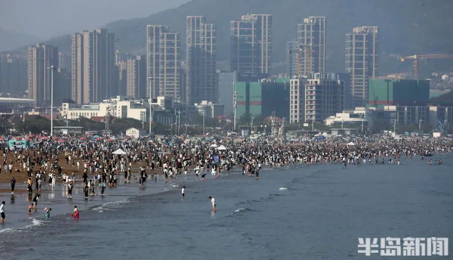 图/半岛全媒体记者 何毅