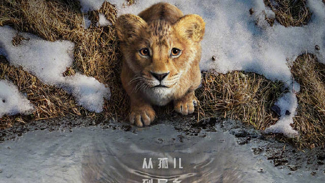 《狮子王：木法沙传奇》 世界影史最著名的狮子之一的故事，异乡孤狮终成王