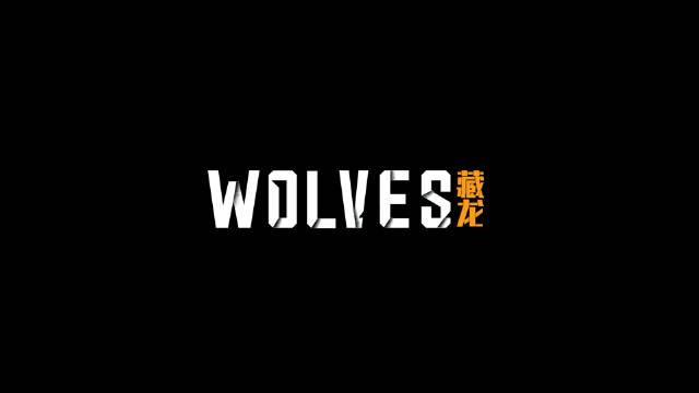 Wolves藏龙