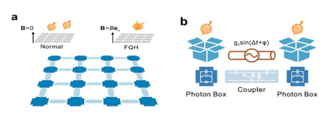 在非線性光子系統中構建人工規範場，實現光子的分數量子霍爾態。中國科學技術大學供圖