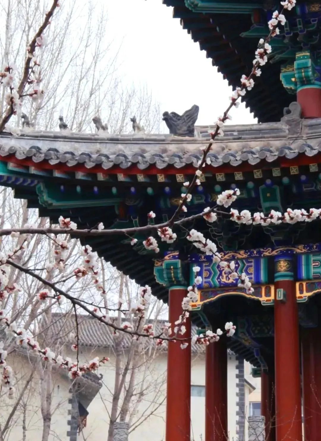 来源:河北美术学院