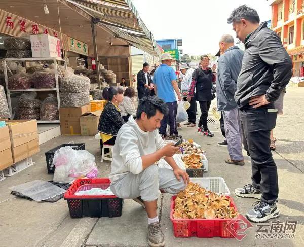 野生菌交易现场