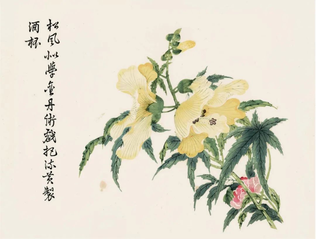 《〈芥子园画传〉经典传世本集成》内页