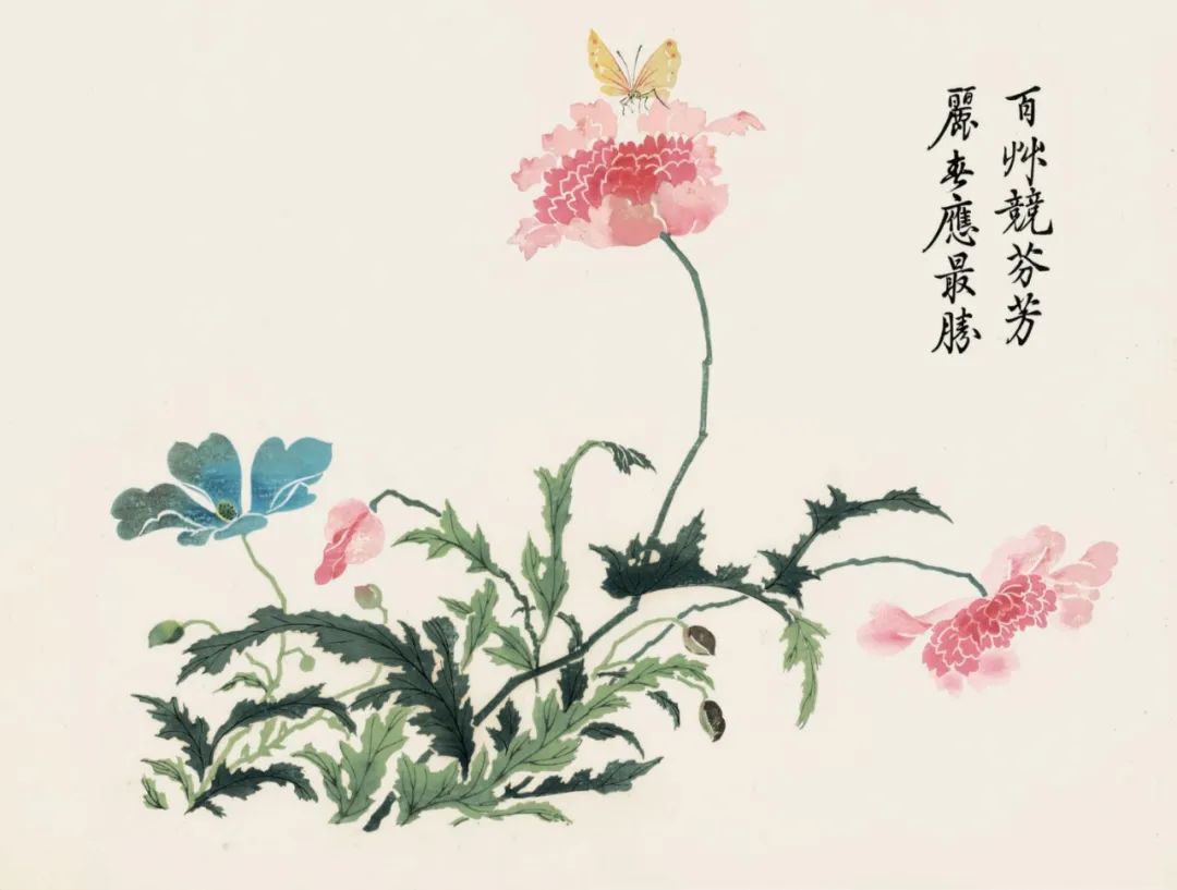 《〈芥子园画传〉经典传世本集成》内页
