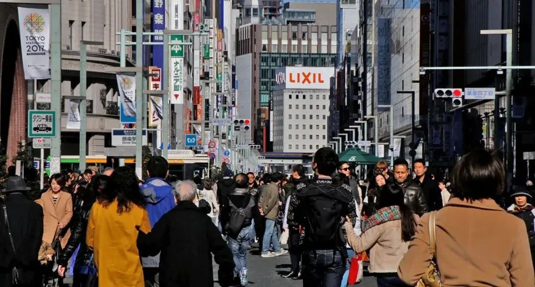 在日本买日抛多少钱,日本日抛牌子