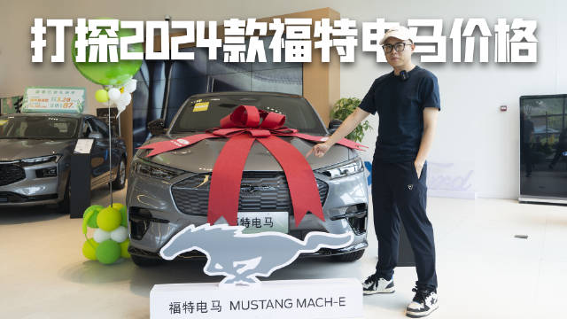 视频：卖得不好优惠还少，打探2024款福特电马价格