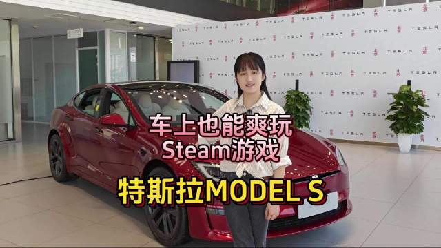 视频：随车爽玩Steam？特斯拉MODEL S有点牛