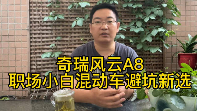 作为一款A+级插电混动轿车…