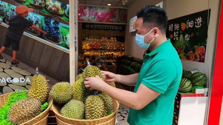 在广西南宁市的一家水果门店,店长乐武定正在检查刚刚到货的泰国榴莲。新华社记者 杨驰 摄