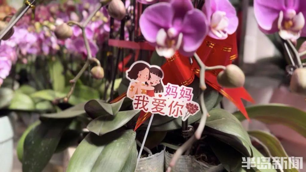 一些盆栽也添加了母亲节元素