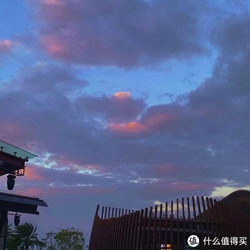 一品论坛寻花记：安徽江苏文化探访指南