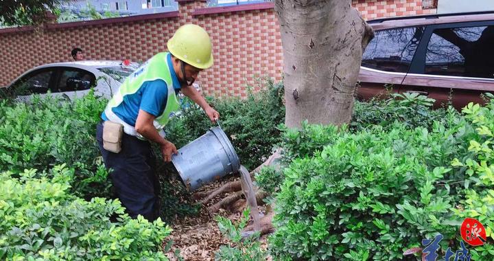 东莞厚街：加强春季病虫害防治，巩固绿化成果