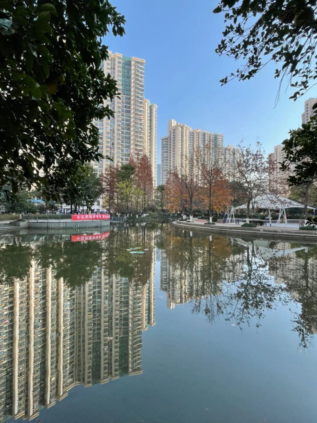 ▲中远两湾城小区的景色。受访者供图