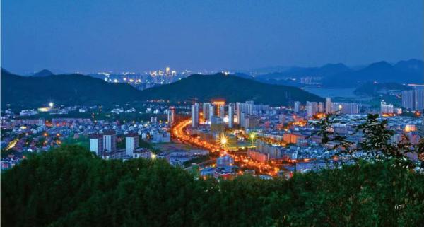 杭州臨安區城市夜景。圖片來源：臨安區政府官網