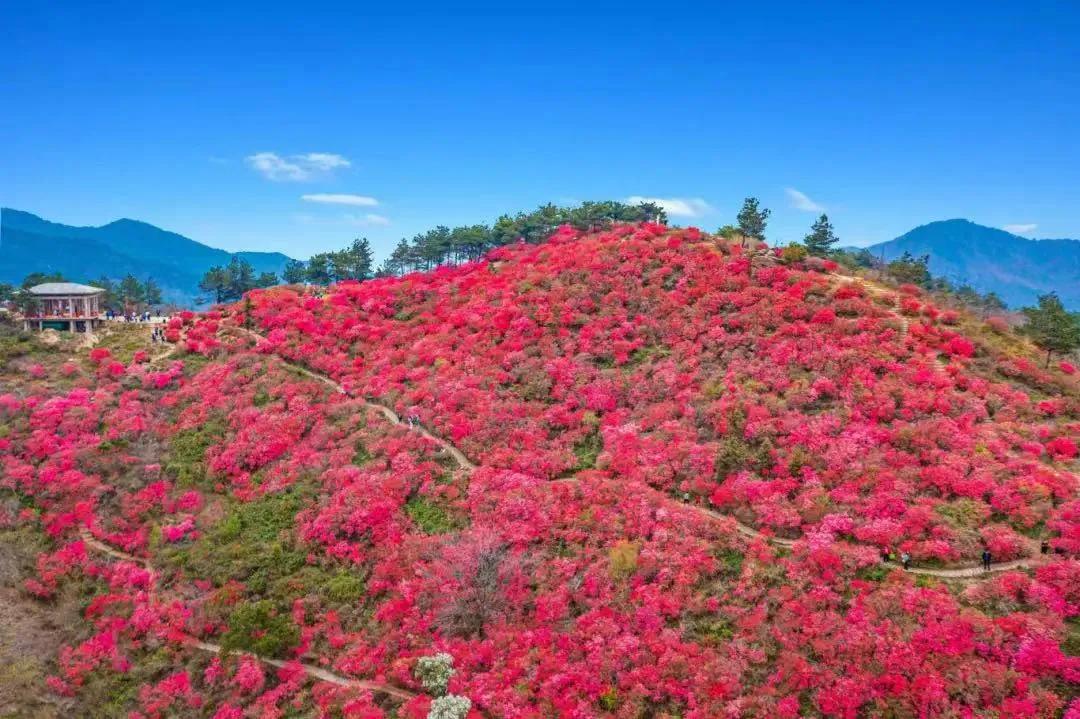 木兰云雾山。来源:木兰云雾山微信公众号