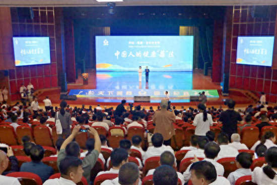 2024开封(杞县)乡村文化节现场。刘启旸 摄