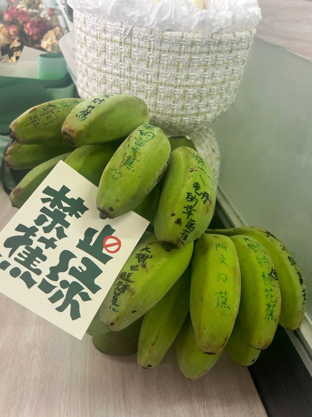 在办公室养殖的香蕉