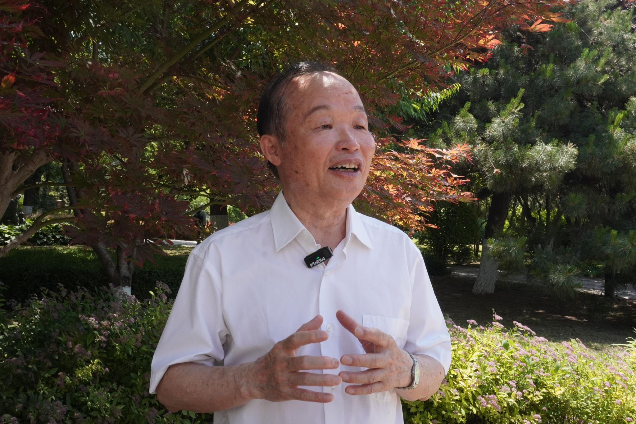 曹幸穗。新京報記者 陳超 攝